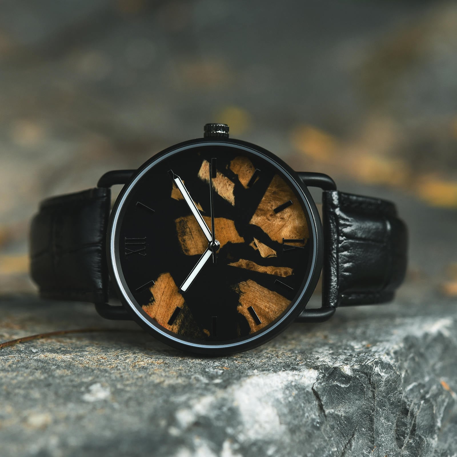 Bobo Bird Classic Wooden & Resin Unique Wooden Watches T87-1