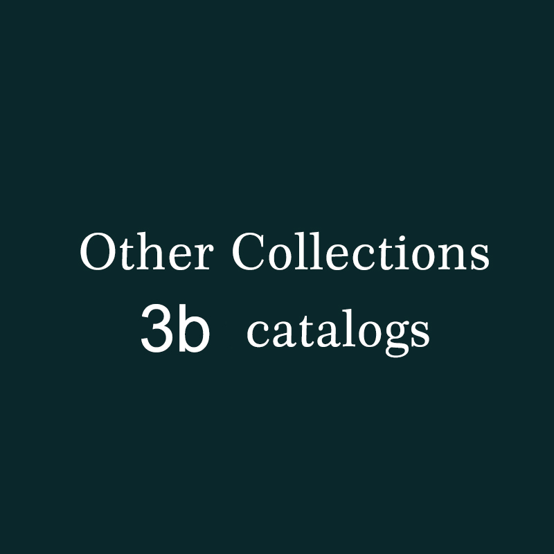 3b Apparel Catalog BOBO BIRD